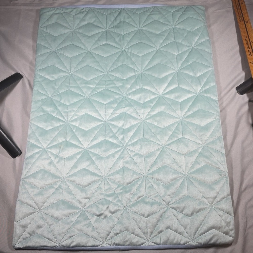 Wild Sage Pillow‎ Cover Case Sham STANDARD Teal/Mint Color